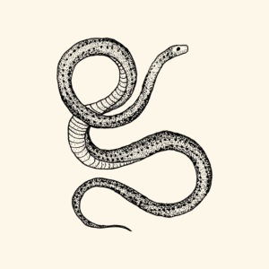 serpent gang