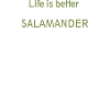 Salamander