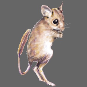 hopping mouse