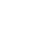 Ambulance Paramedic