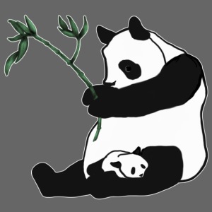 Mom and Baby Panda