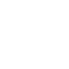 Raptor Dinosaur
