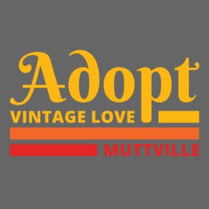 Adopt Vintage Love retro colors front