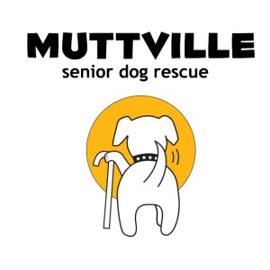 Muttville Senior Dog Rescue Phone Case
