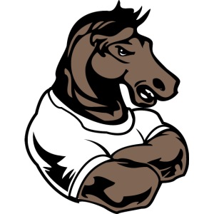 Custom Mustang or stallion mascots
