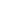 Basic Phone Icon