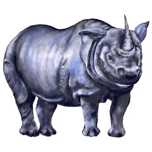 One horned rhino