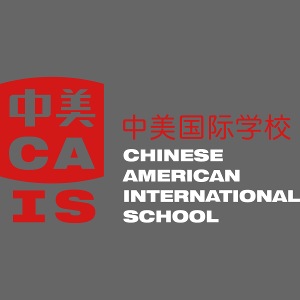 CAIS Logo (on Black & Gray)