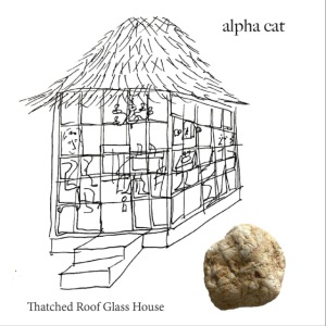 Alpha Cat Thatched Roof Glass House