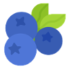 Fresh Blueberry Botanical Illustration