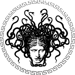 Medusa head