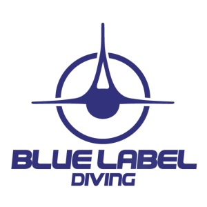 BLD logo with text blue
