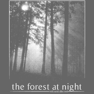 The Forest At Night
