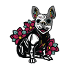 skull dog