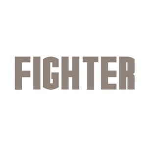 Fighter png