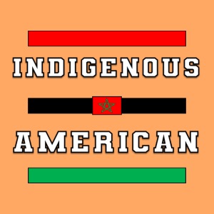 Indigenous American Bars Moorish Flag Amexum