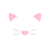 Cute Cat Face