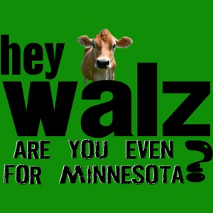 Walz Minnesota