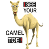 camel toe funny design