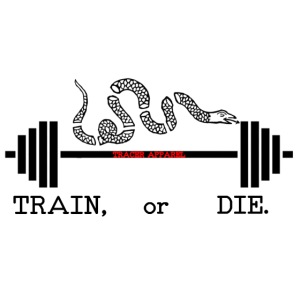 TRAIN OR DIE