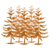 Into The Pine