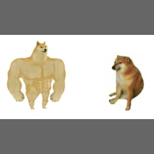 buff doge vs. crying cheems meme