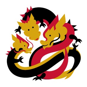 CAIS Core Value Dragons Inclusion
