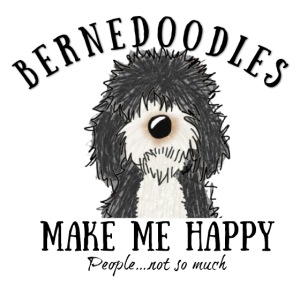 Black and White Bernedoodle
