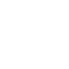 Raven odin birds