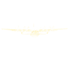 C-130 Herkules