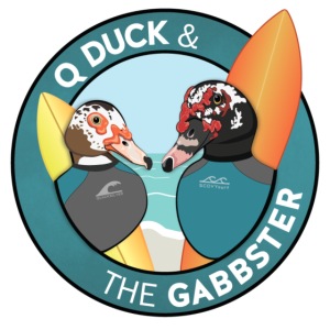 Q and Gabbs - Surfer Ducks