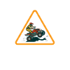 Quad Bike
