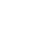 Drone Pilot