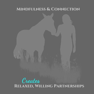 Mindfulness & Connection Grey