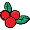 lingonberries berry fruit