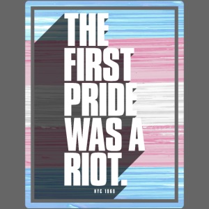 The First Pride Was A Riot Trans Pride Flag