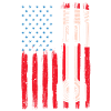 Piston American Flag