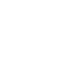 Salamander Tshirt