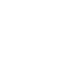 Basset Hound Dog
