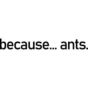 Because... ants!