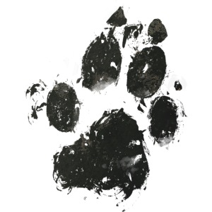 Big Bad Wolf Emblem w/ Black Logo