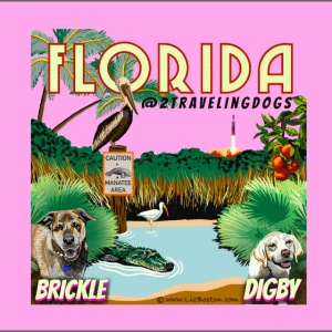 2 Traveling Dogs Florida