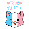 Trans Purride Trans Pride