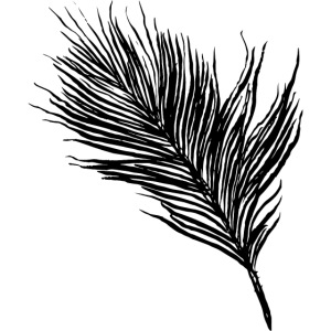 Delicate Feather
