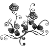 rose picture