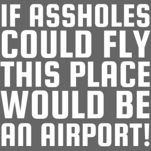 If Assholes Could Fly This Place Would Be Airport