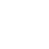 modest mouse