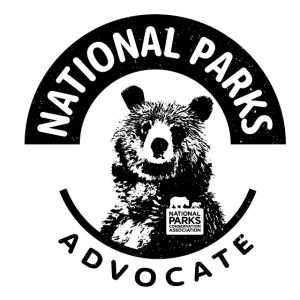 Parks Advocate Bear