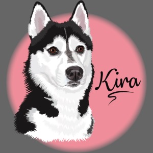 Kira the Husky from Gone to the Snow Dogs