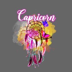 Capricorn Dream Catcher